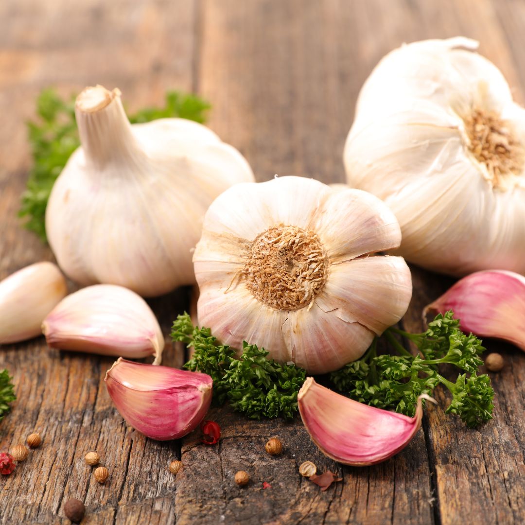 img of garlic